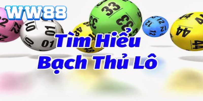 Tìm hiểu khái niệm chi tiết của bạch thủ lô là gì