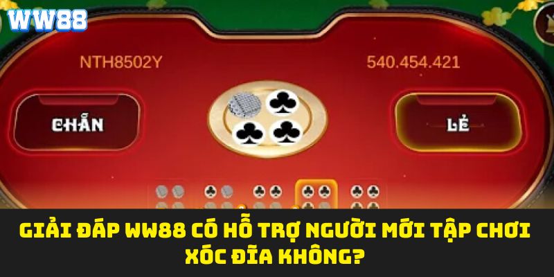 Giải đáp WW88 có hỗ trợ người mới tập chơi xóc đĩa không?