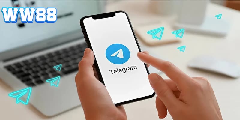 Liên hệ qua Telegram