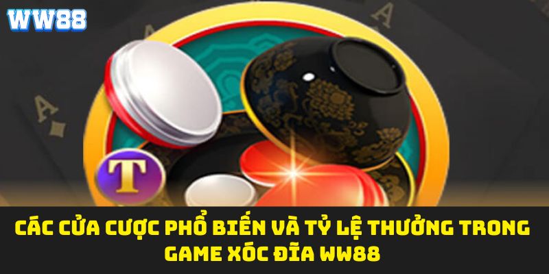 Các cửa cược phổ biến và tỷ lệ thưởng trong game xóc đĩa WW88