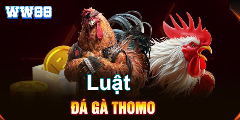 Tìm hiểu đá gà Thomo