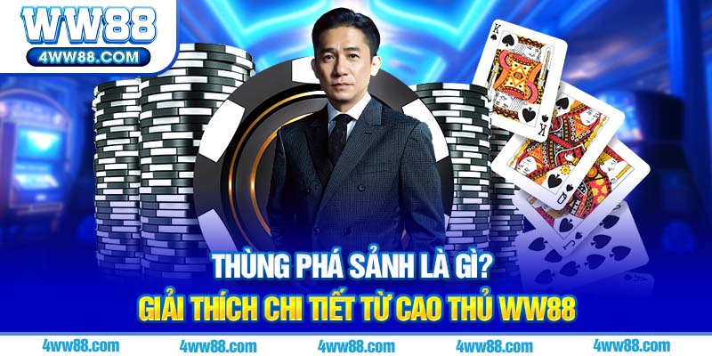 Ảnh avt thùng phá sảnh là gì